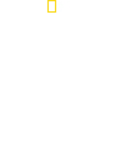 SS: Le squadre della morte