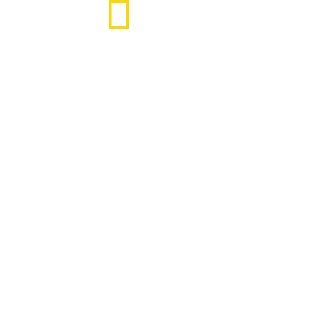 SS: Le squadre della morte