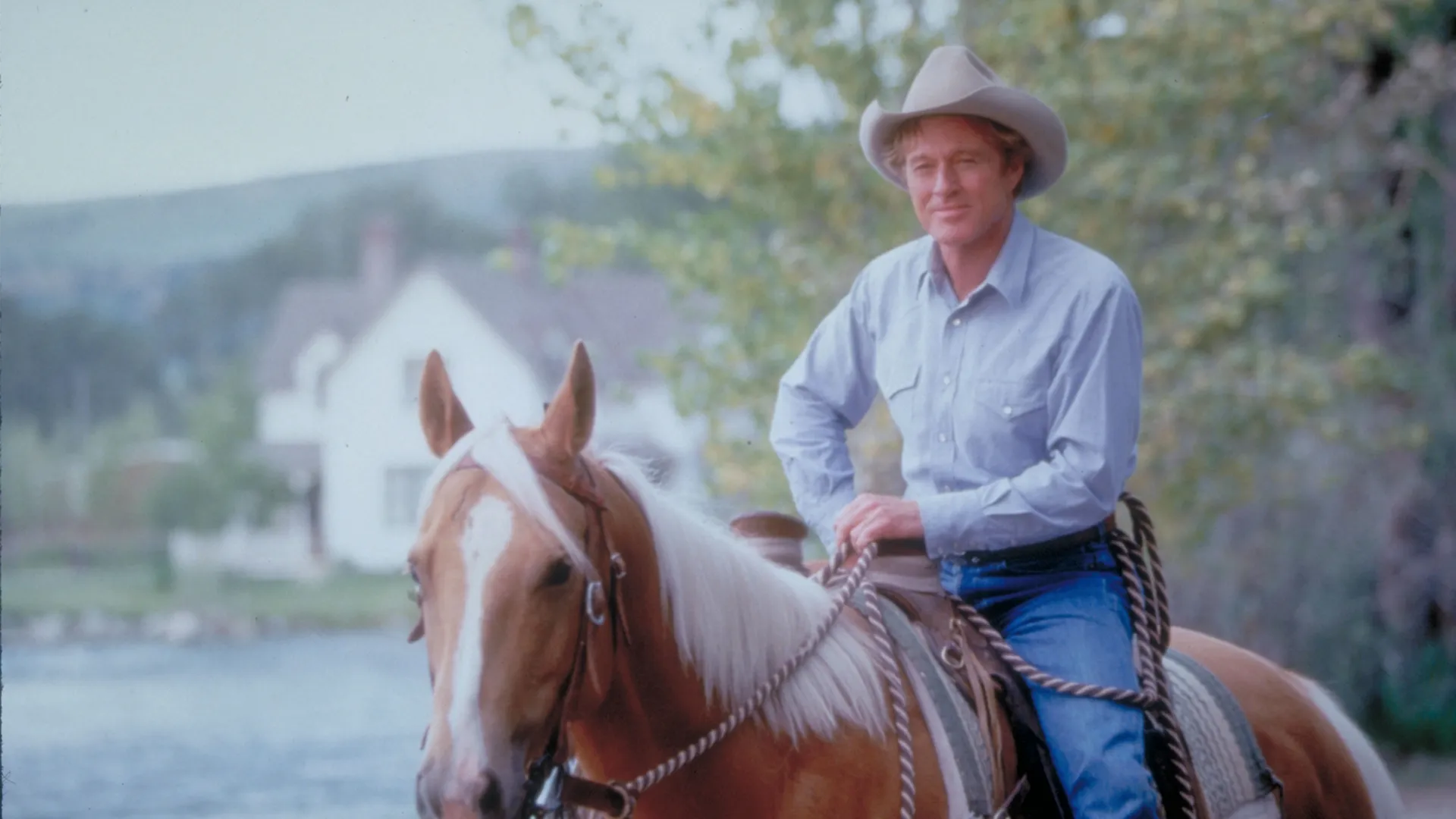 The Horse Whisperer
