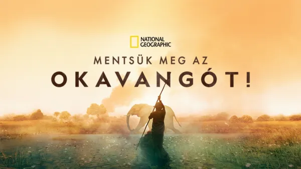 thumbnail - Mentsük meg az Okavangót!