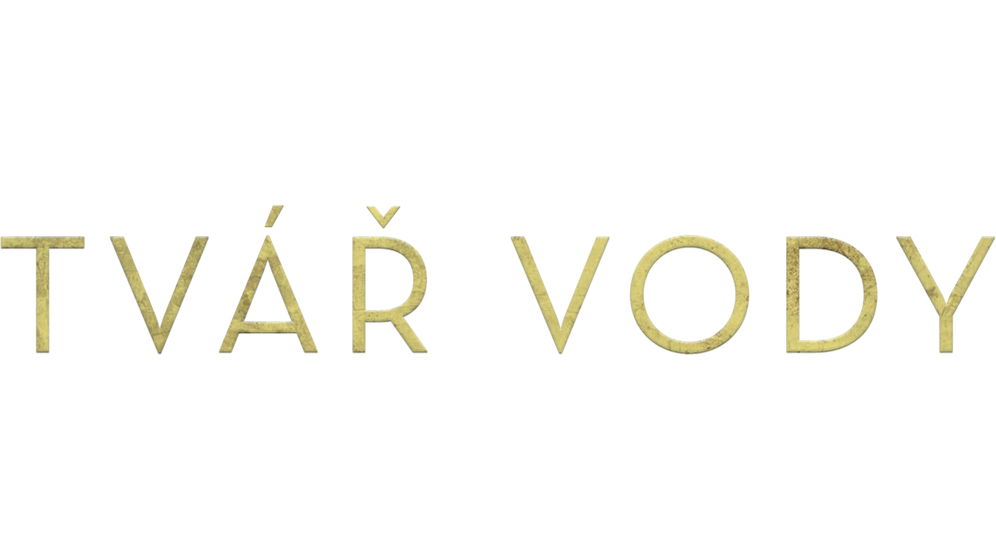 Tvář vody