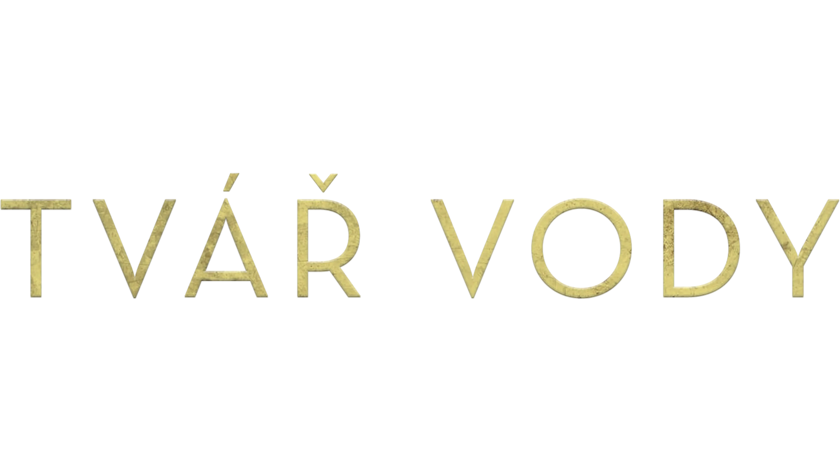 Tvář vody