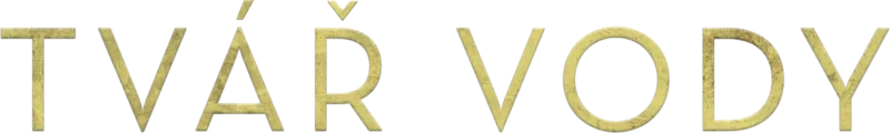 Tvář vody