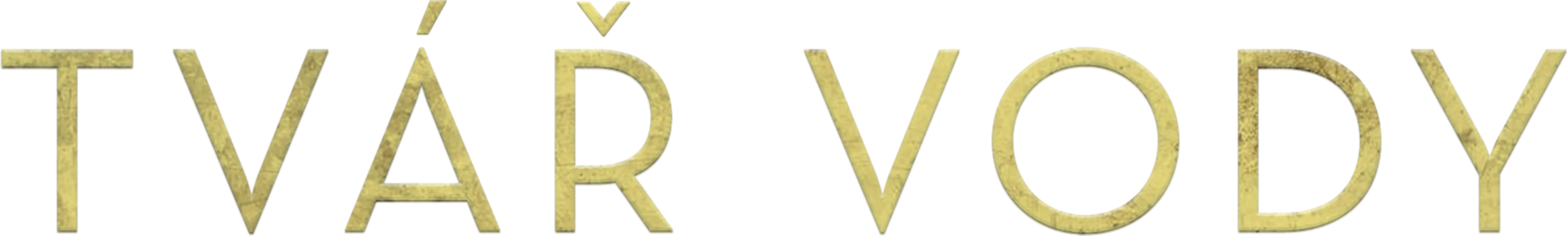Tvář vody