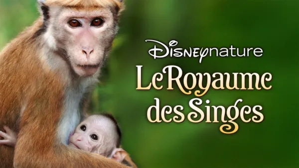 thumbnail - Le Royaume des singes