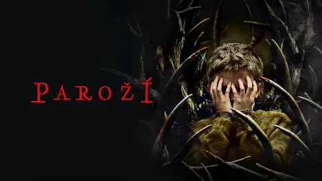 thumbnail - Paroží