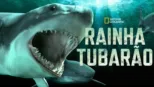 thumbnail - Rainha Tubarão