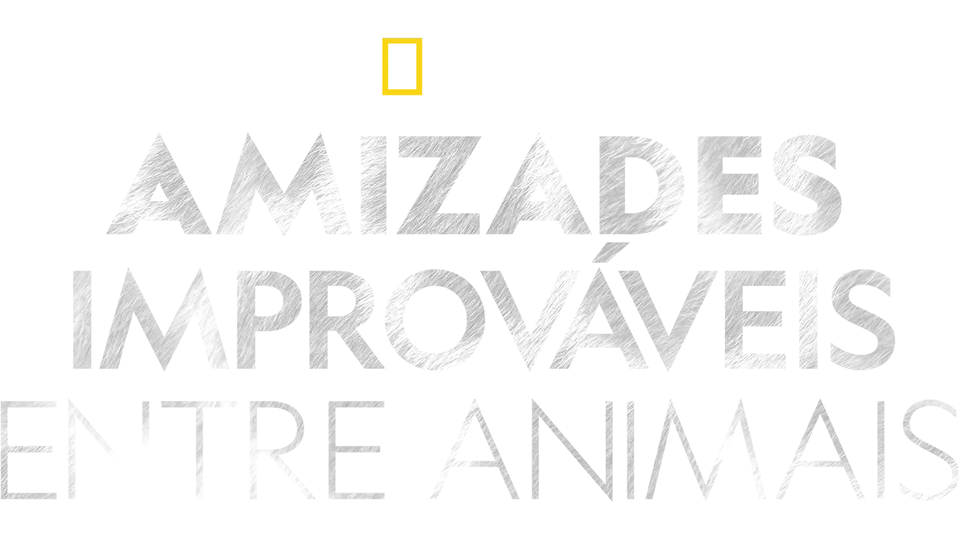 Amizades improváveis entre animais