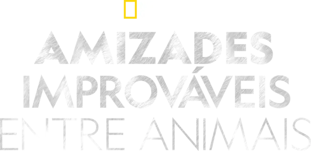 Amizades improváveis entre animais