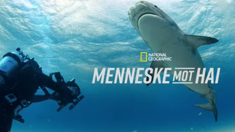 thumbnail - Menneske mot hai