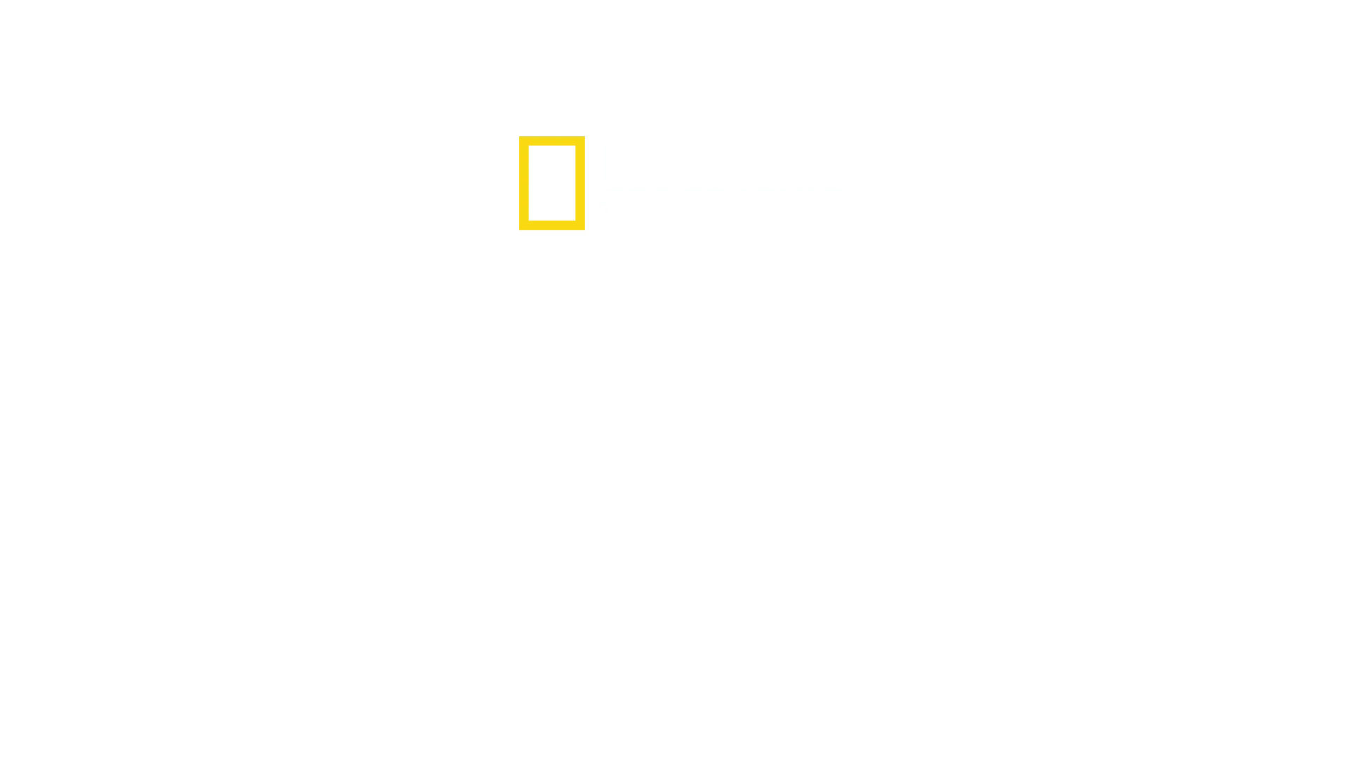 Amsterdam Central: Alltag am Mega-Bahnhof