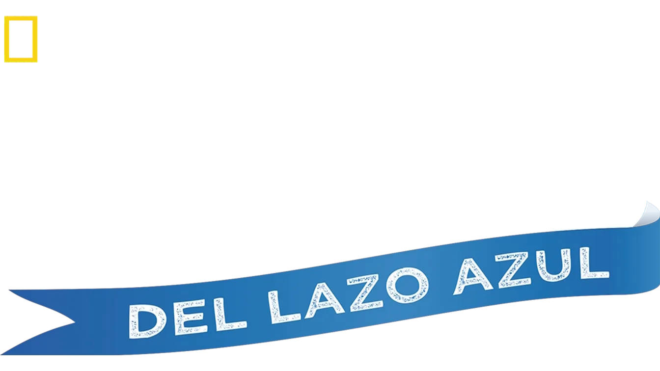 Niños del Lazo Azul