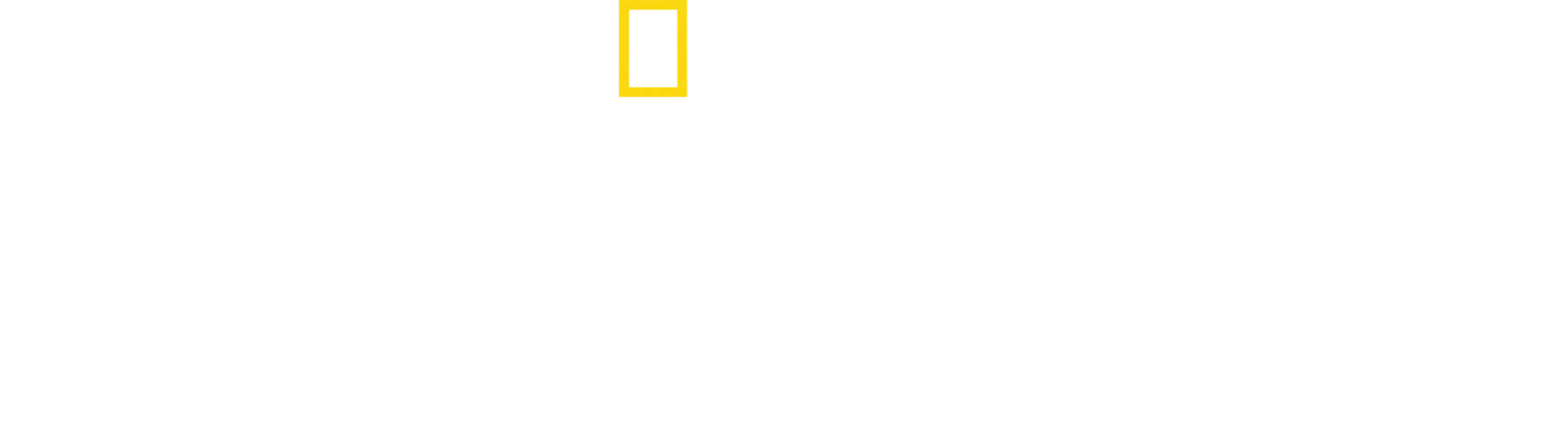 馬尼拉夜行者