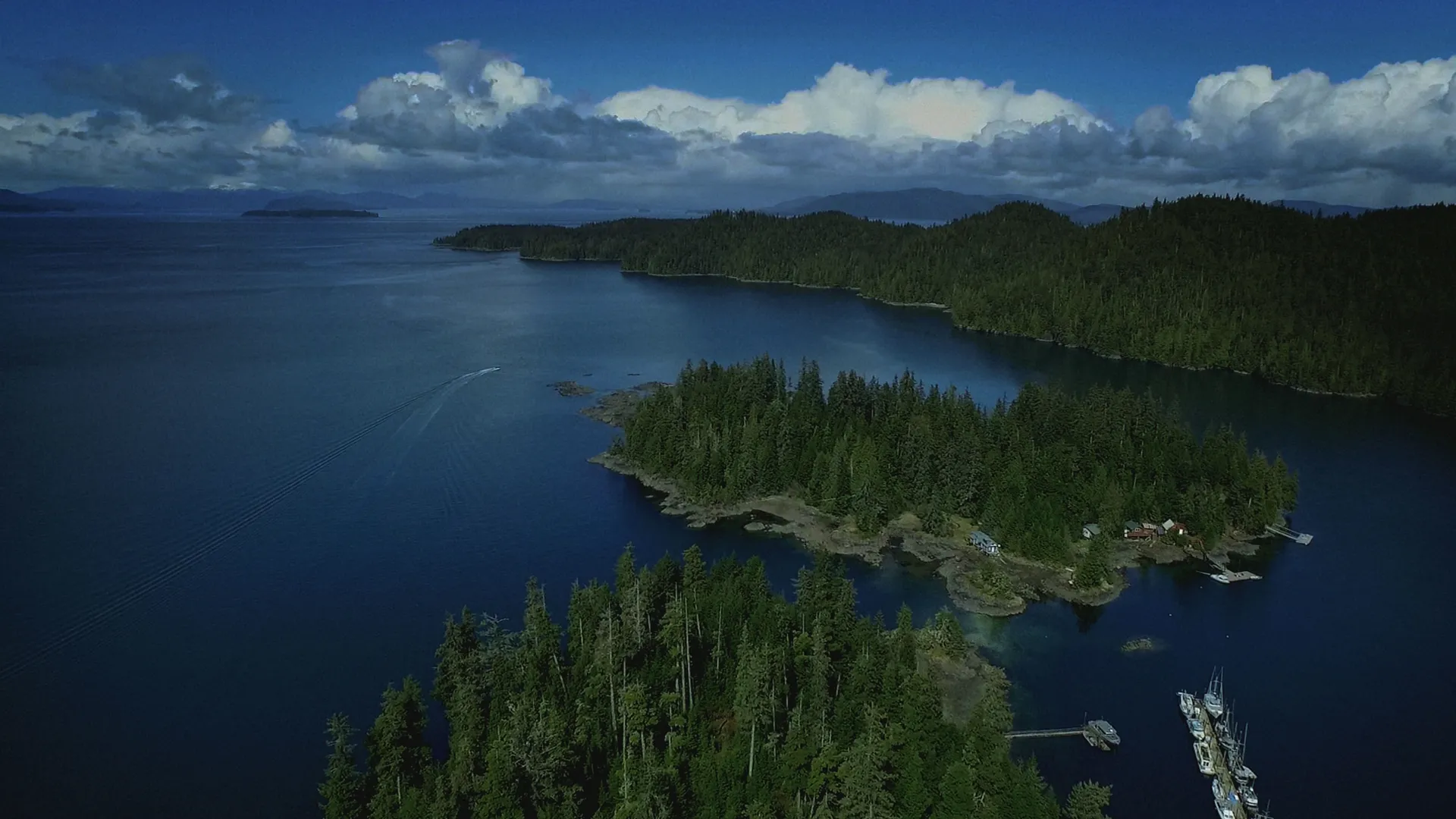 thumbnail - S1:E5 The Widow-Maker