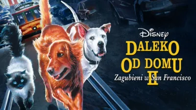 thumbnail - Daleko od domu 2: Zagubieni w San Francisco