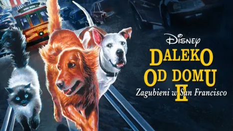 thumbnail - Daleko od domu 2: Zagubieni w San Francisco
