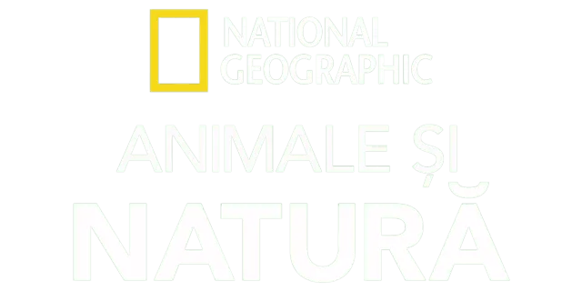 Animale și natură National Geographic