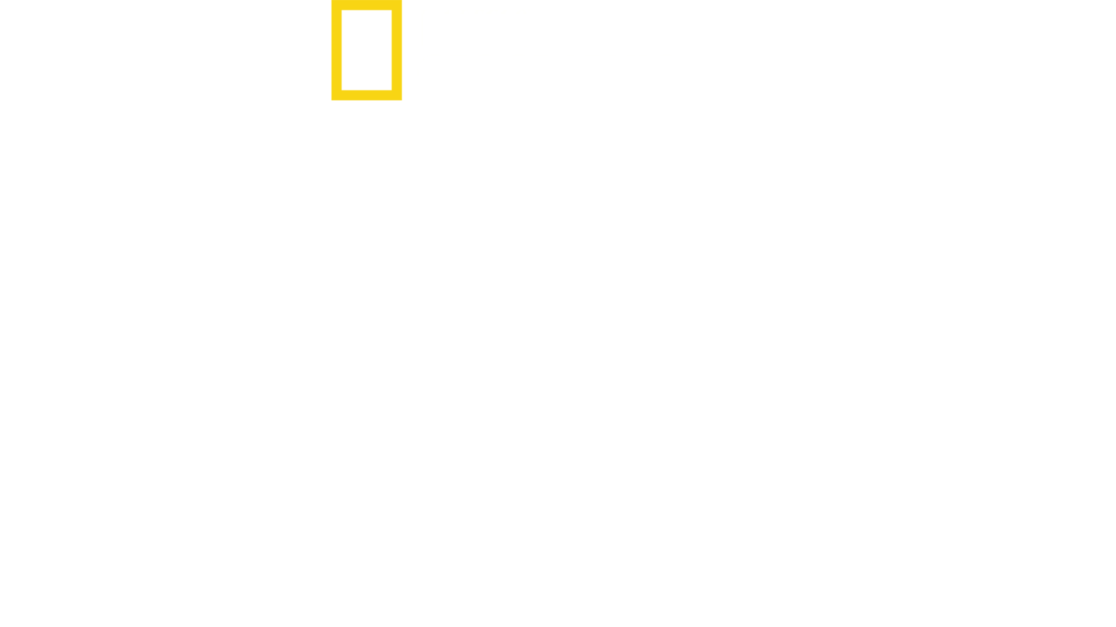 Drogfogások a repülőtéren