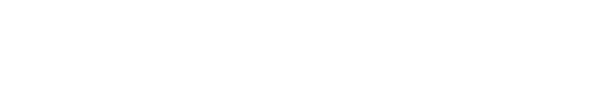 Drachenkrieger: Das Geheimnis der Wikinger