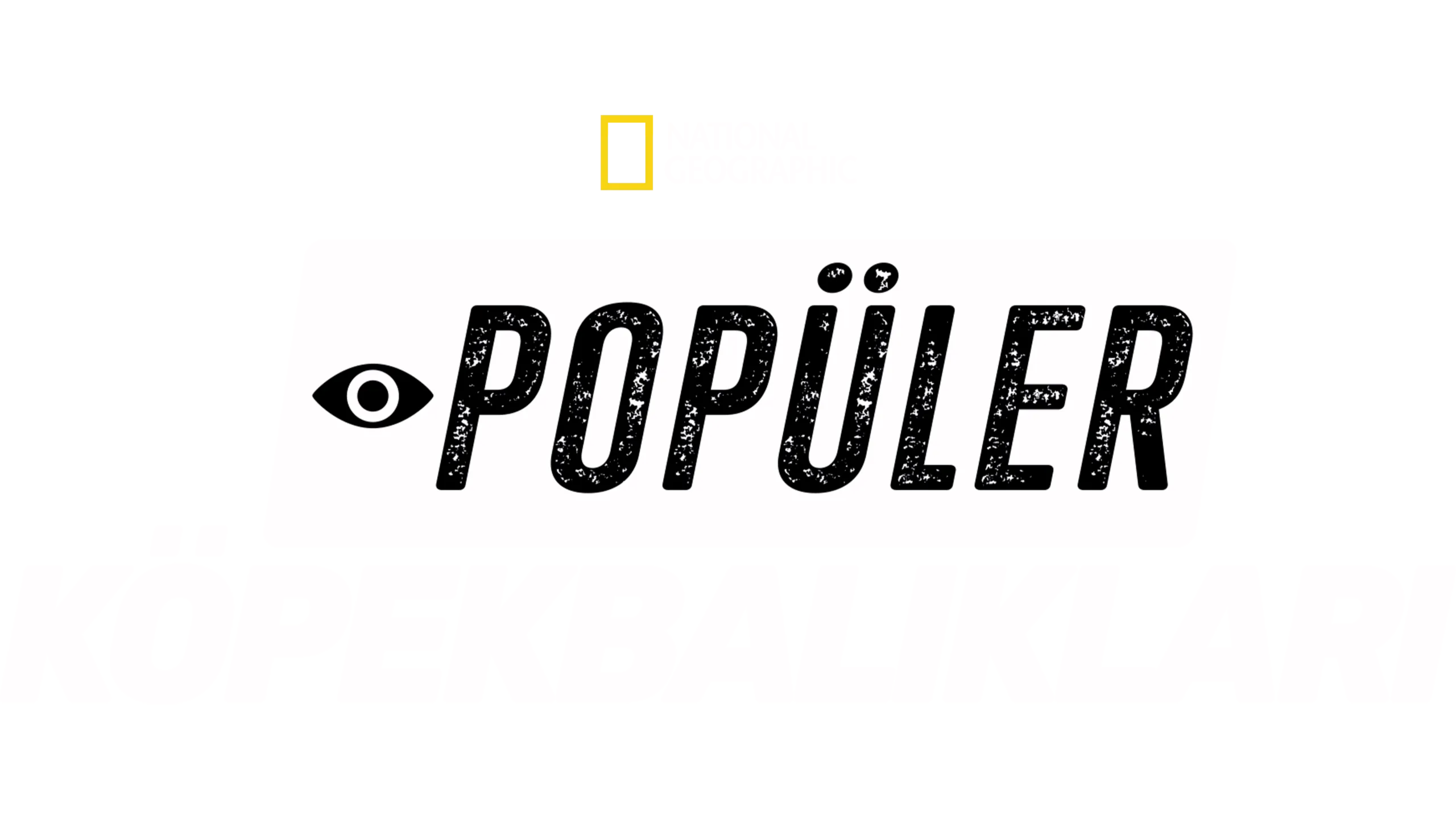 Popüler Köpekbalıkları
