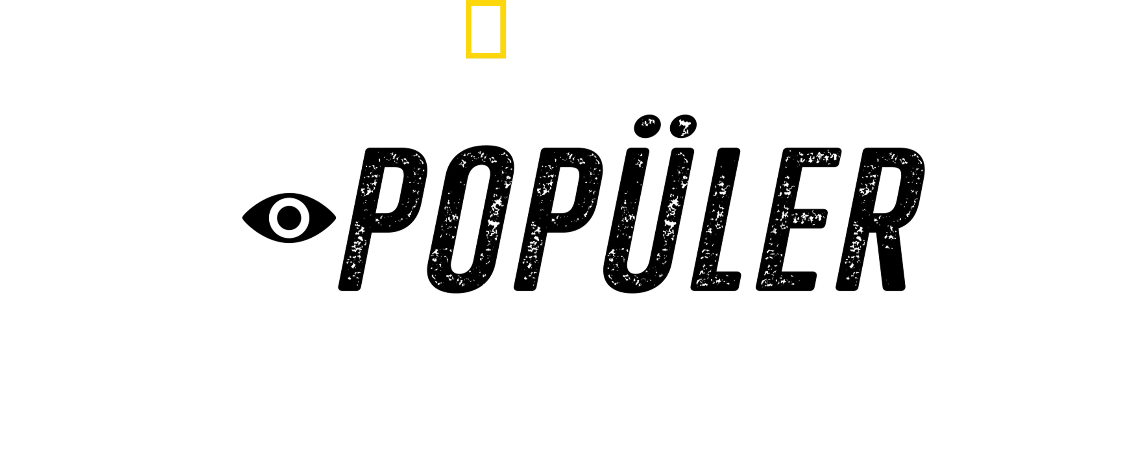 Popüler Köpekbalıkları