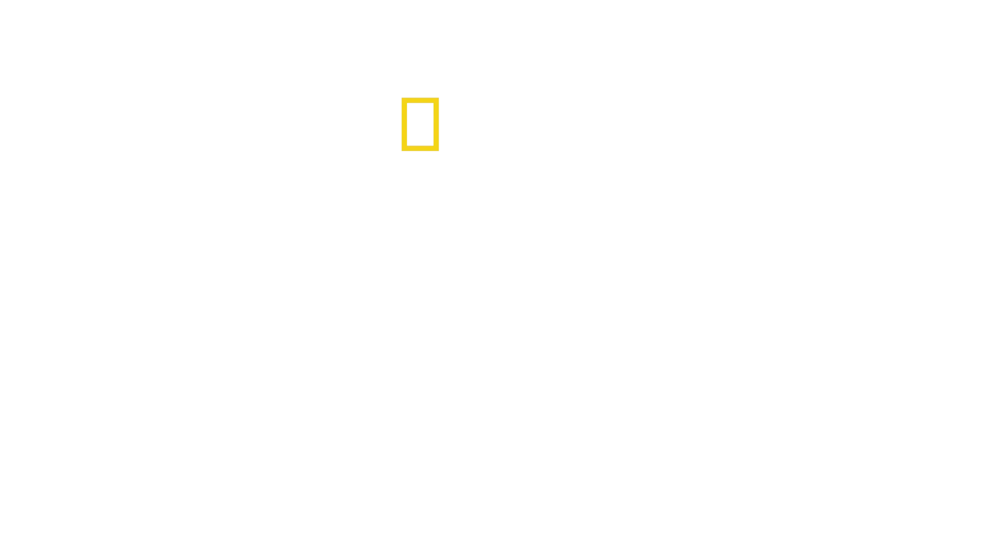 Los secretos de las ballenas