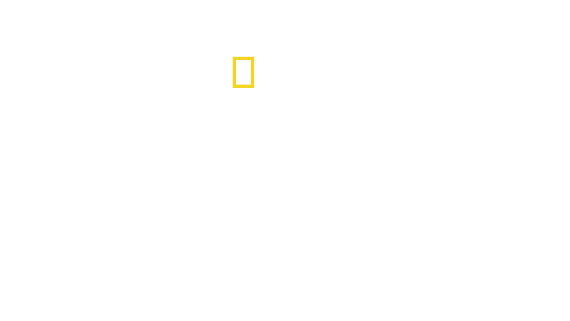 Los secretos de las ballenas