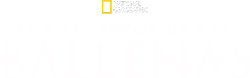 Los secretos de las ballenas