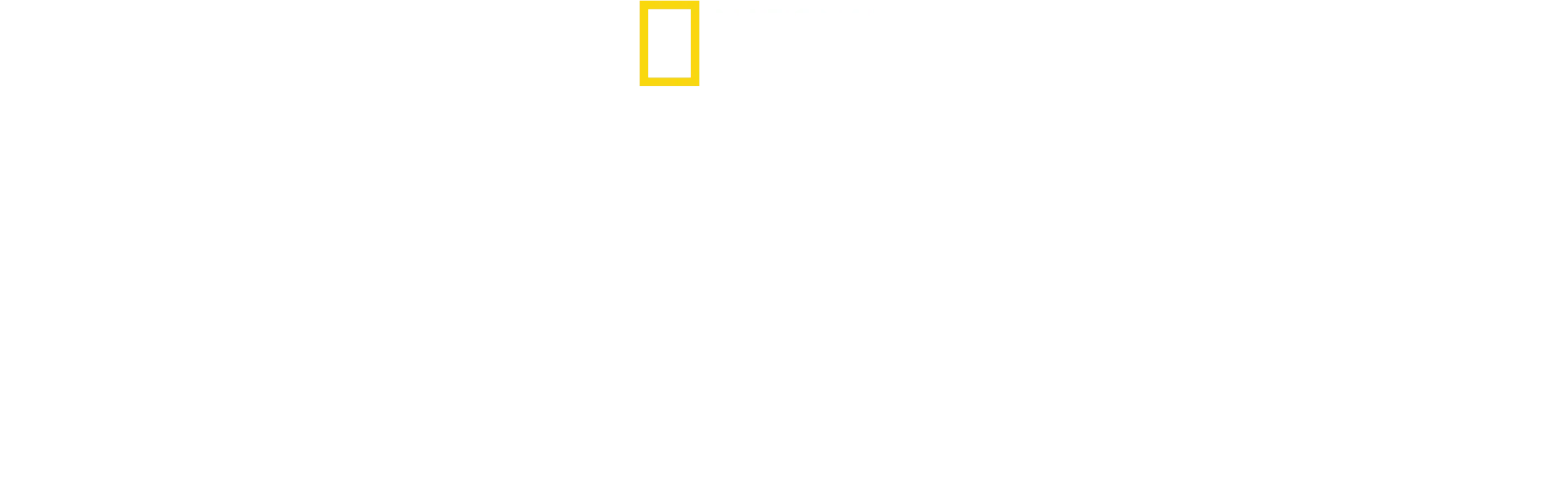 Los secretos de las ballenas