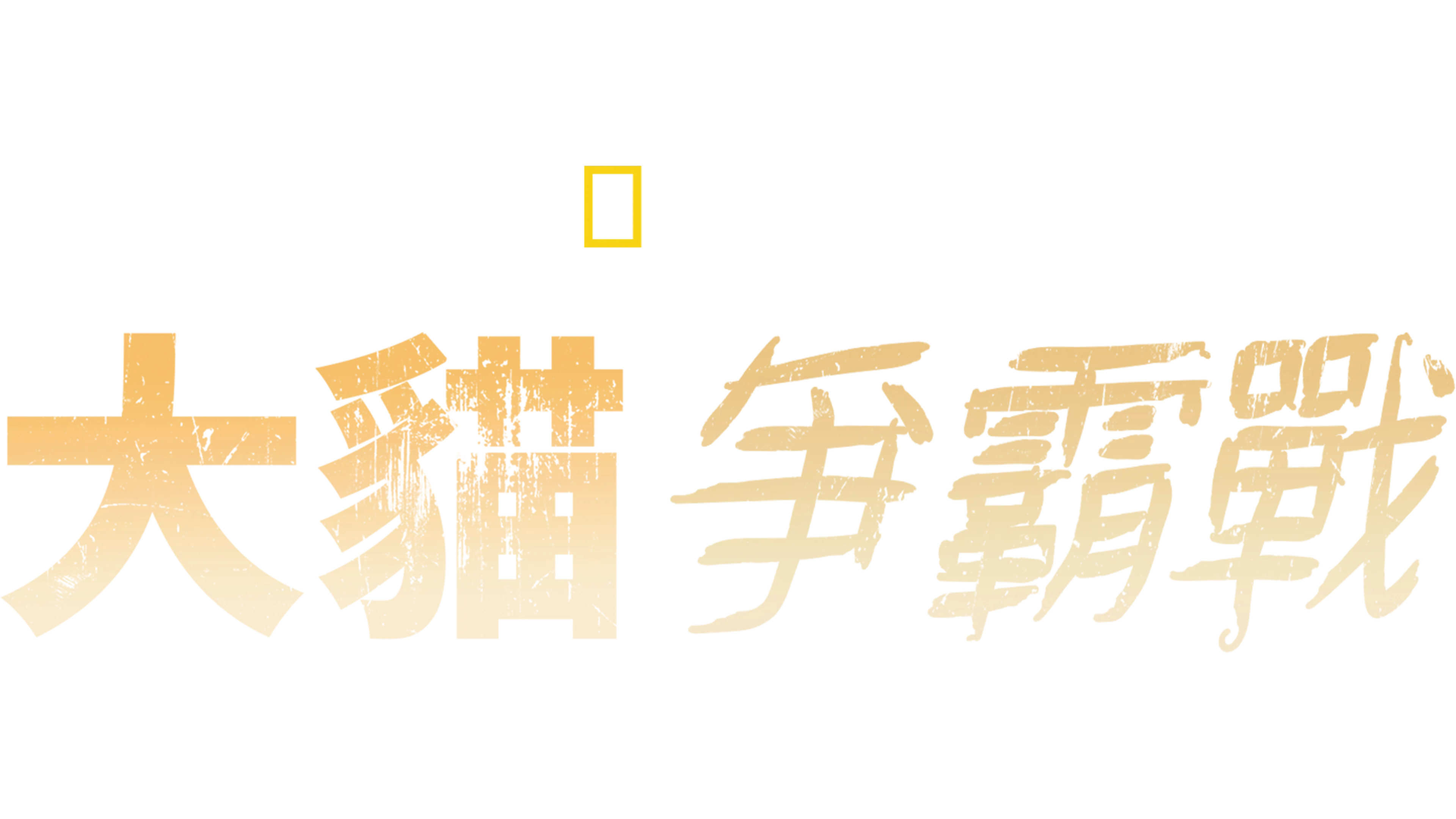 大貓爭霸戰