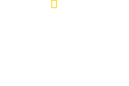 Maui Shark Mystery