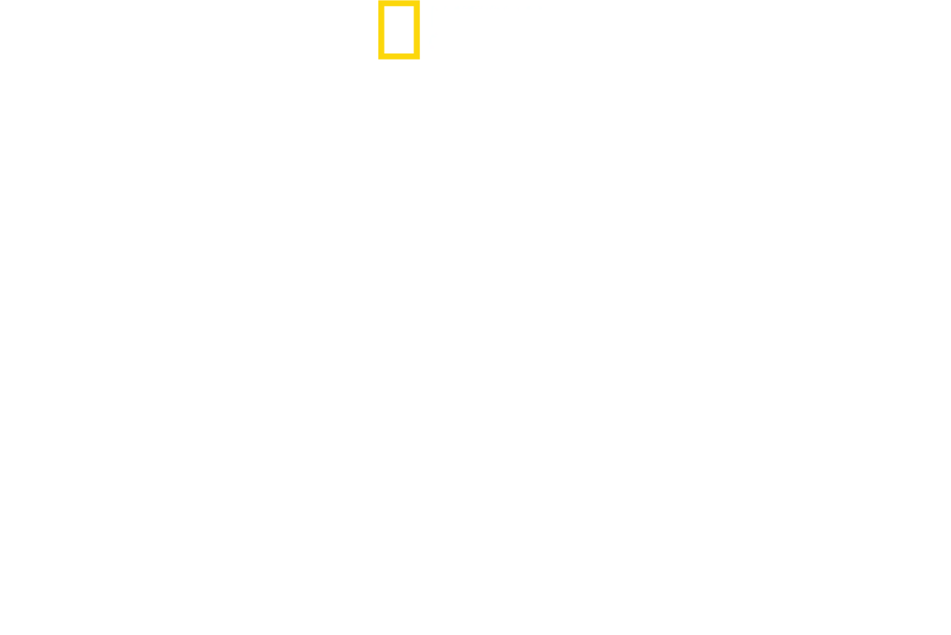 Maui Shark Mystery