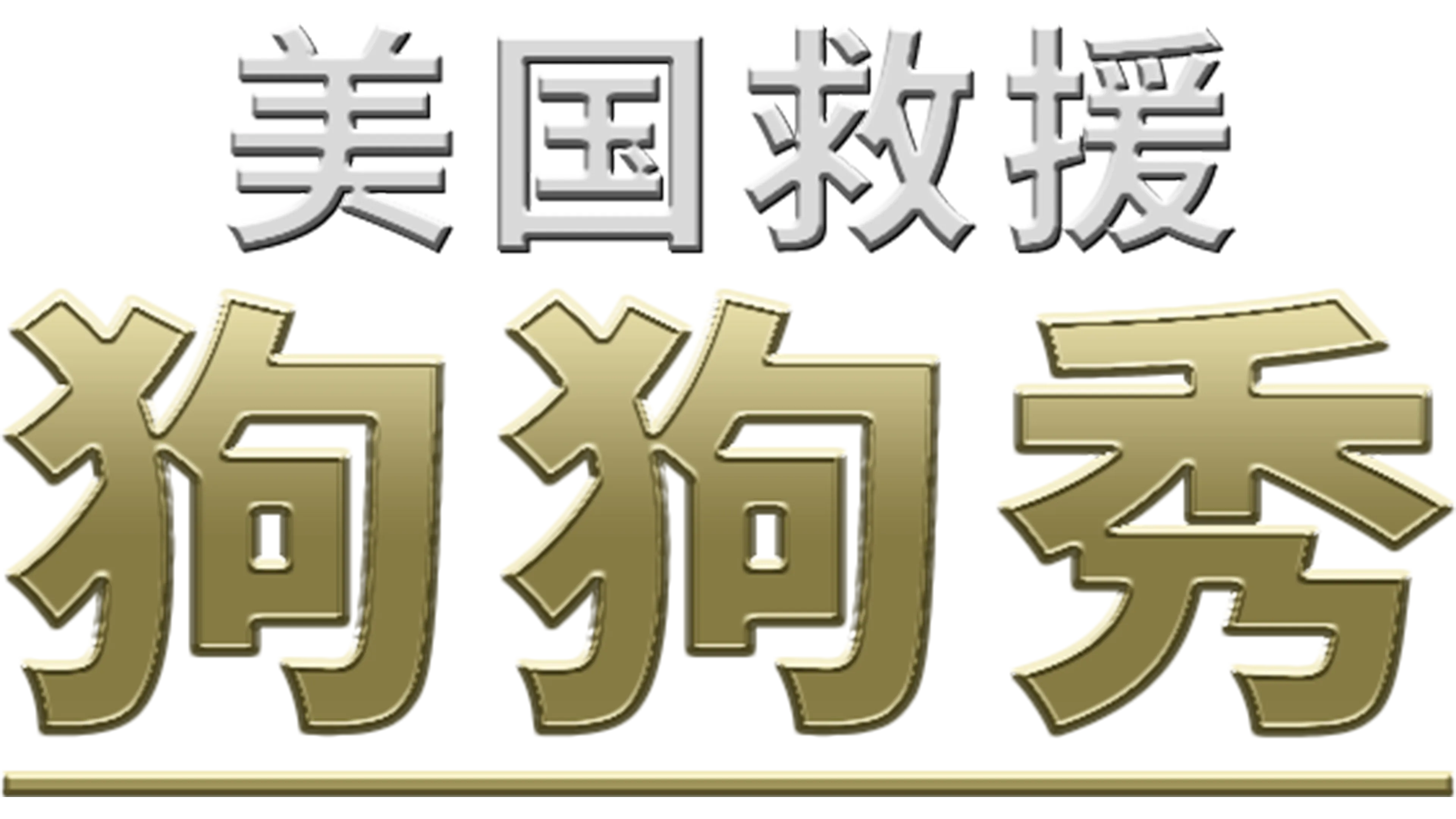 美国救援狗狗秀