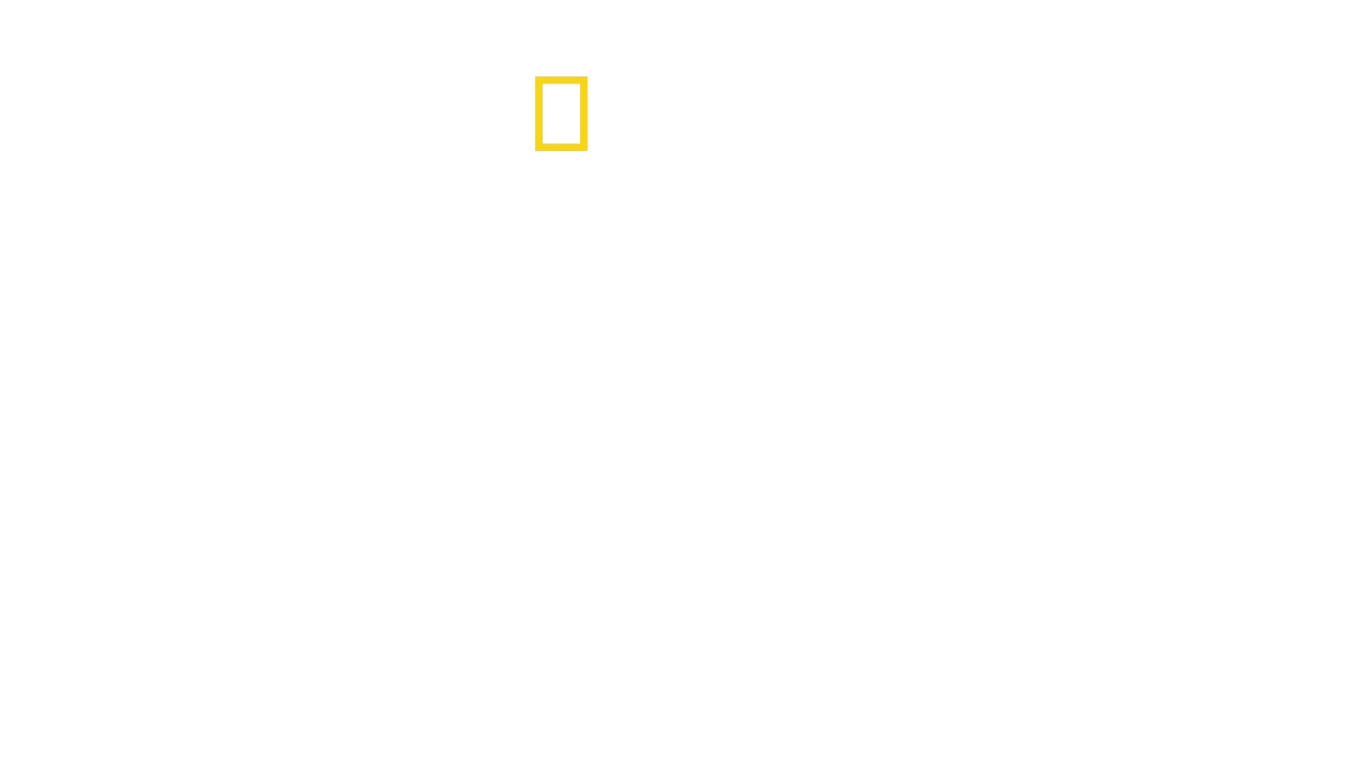 L'Oasi degli Animali