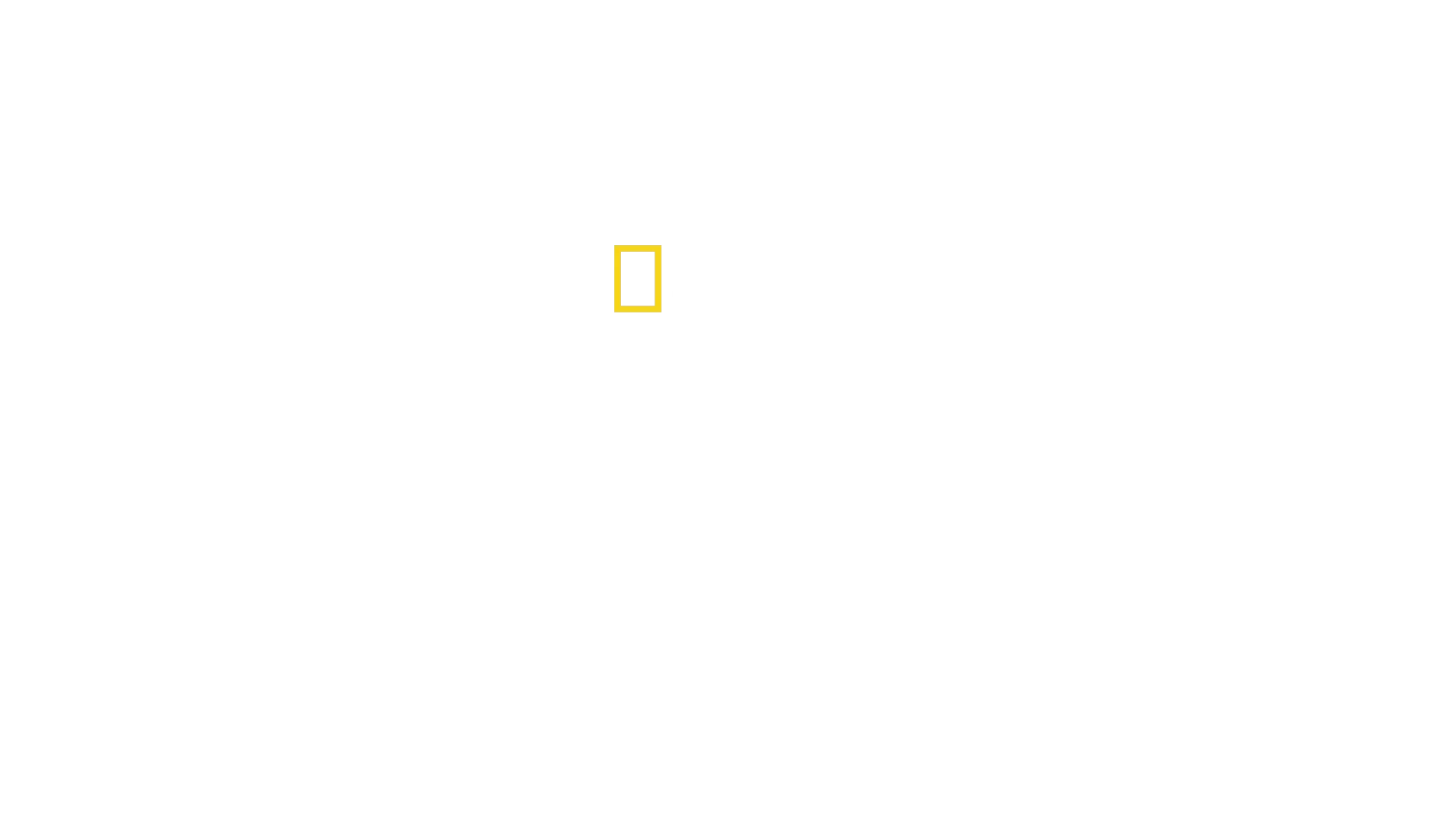 Hvalenes hemmeligheter