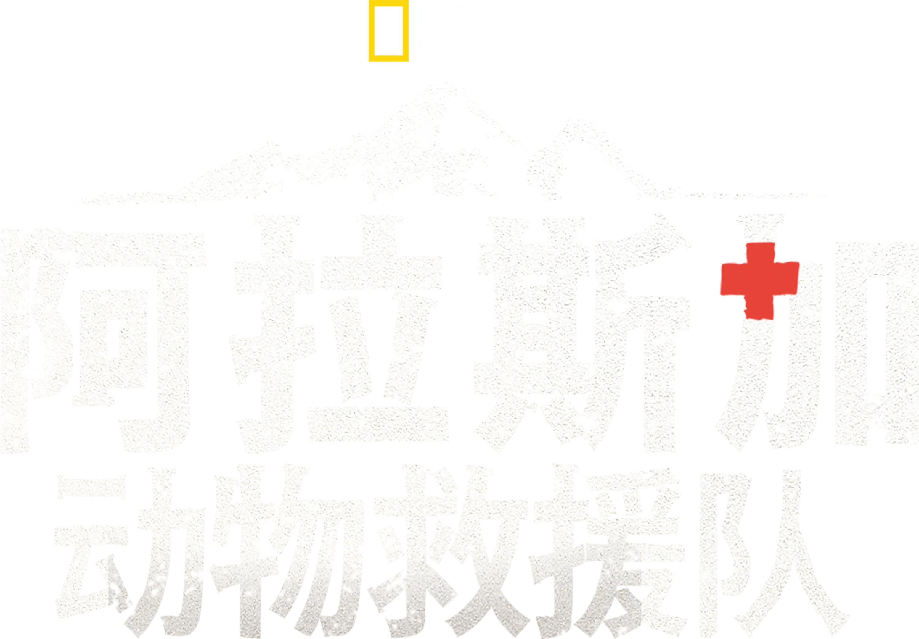 阿拉斯加动物救援队