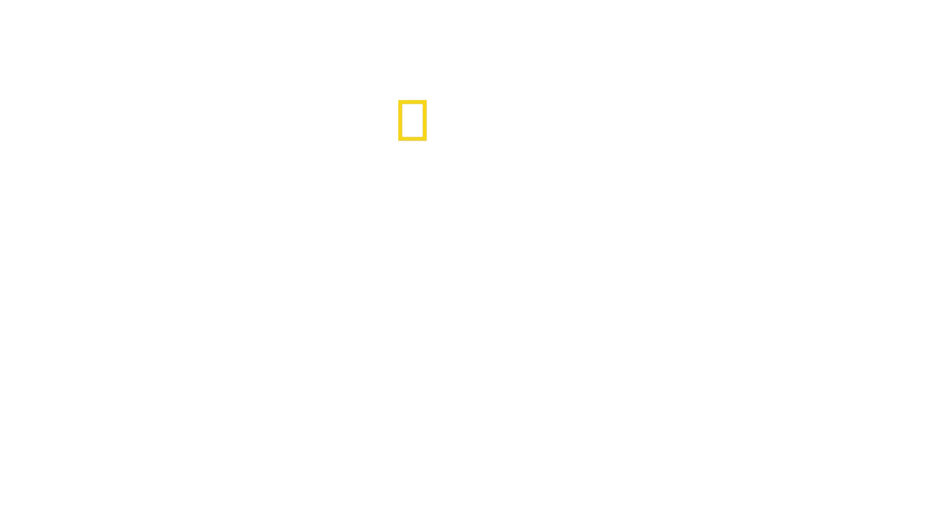 Tierisch gute Erziehung