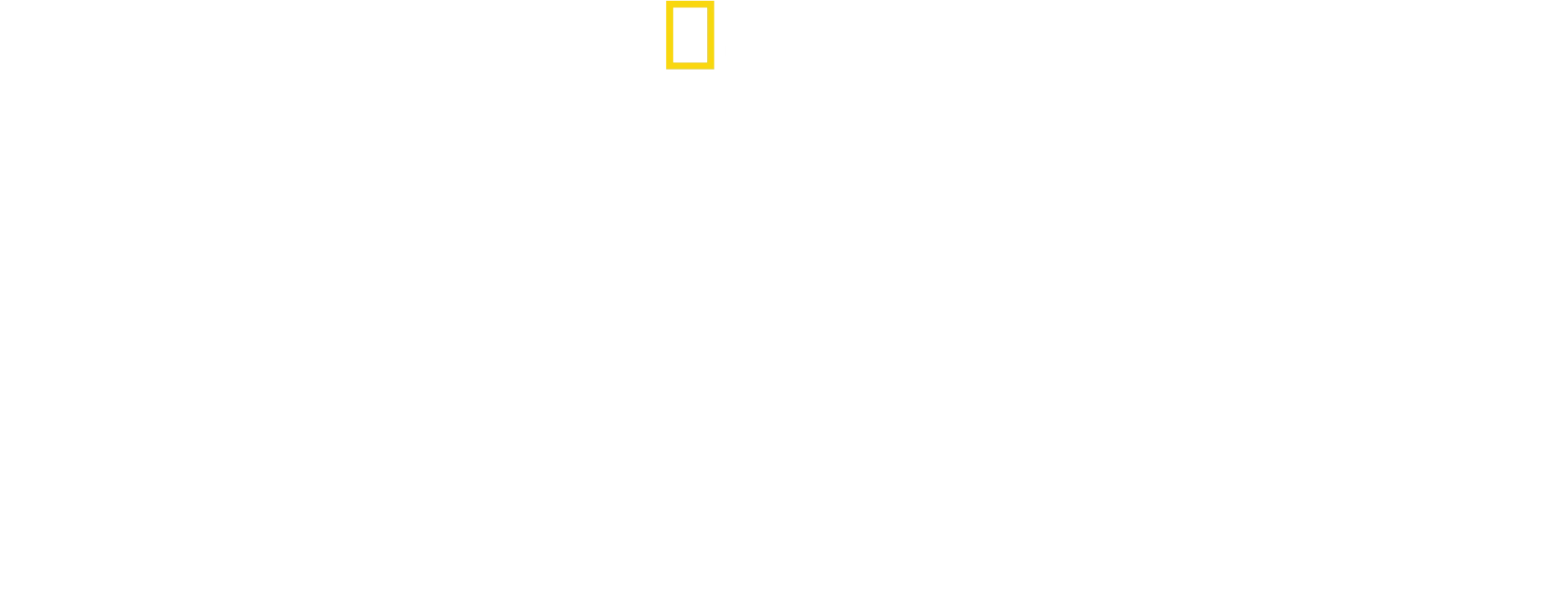 Tierisch gute Erziehung