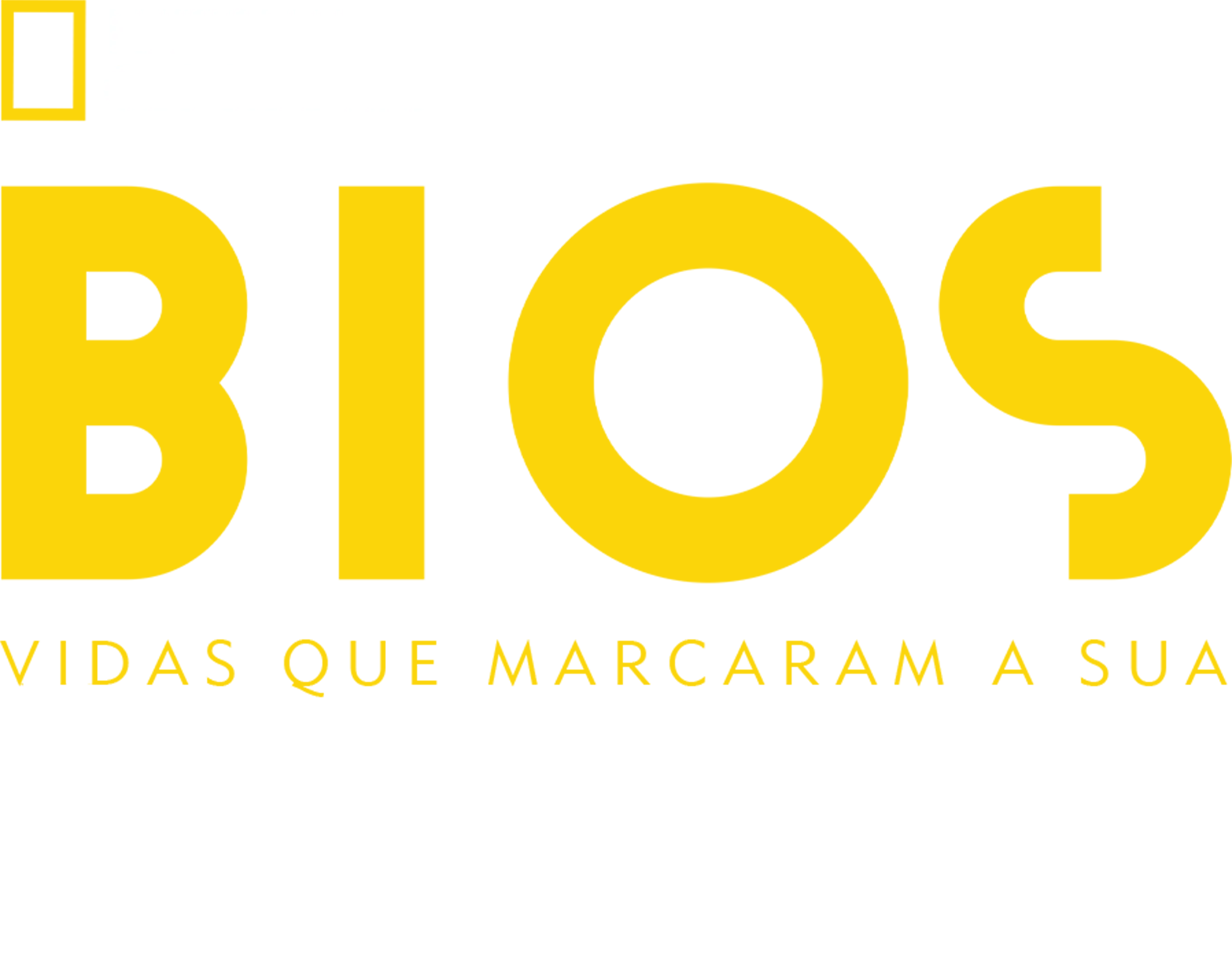 Bios. Vidas que Marcaram a sua: Os Paralamas do Sucesso