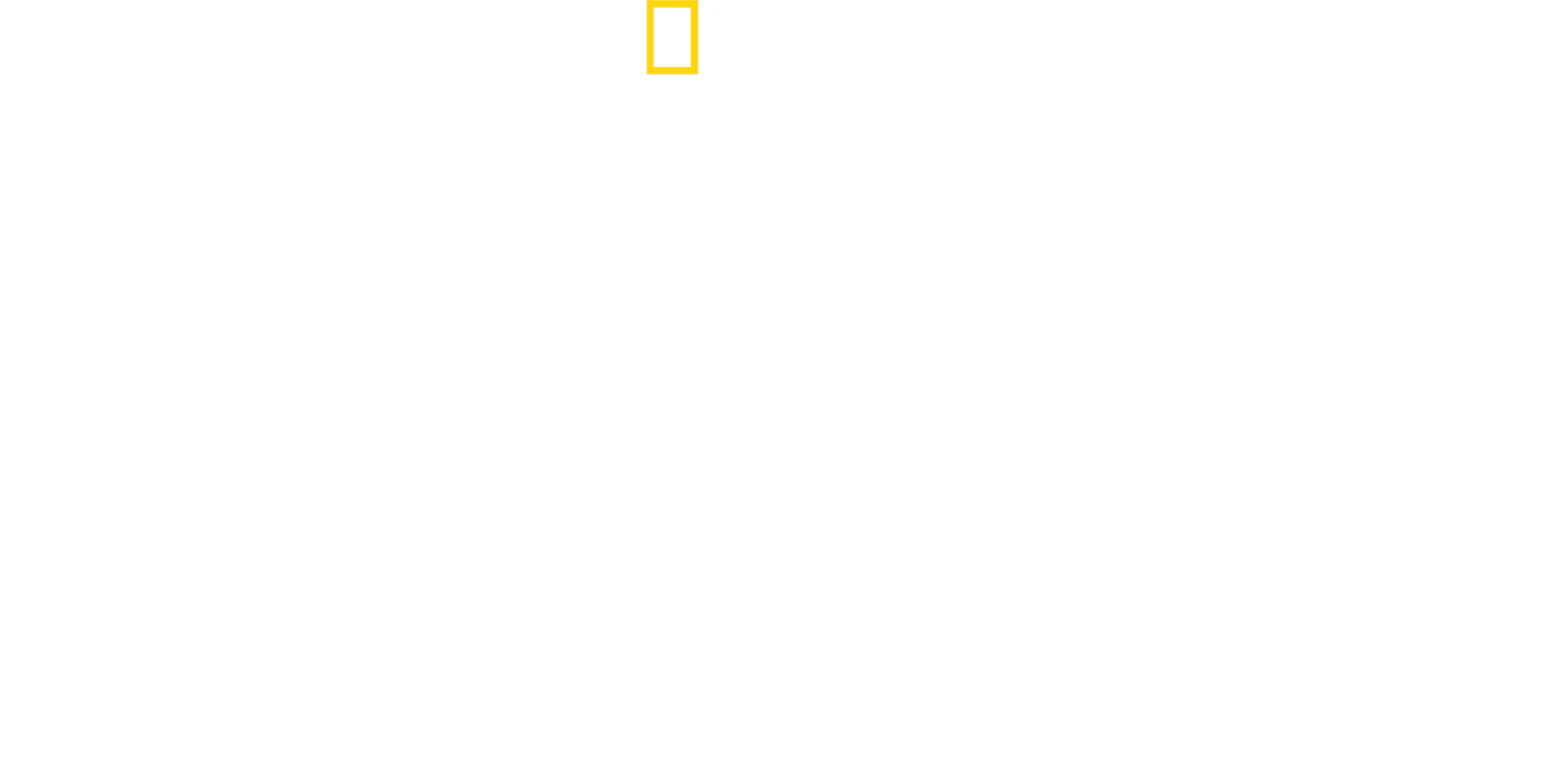 Tiburones de cerca con Bertie Gregory