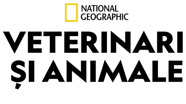 Veterinari și animale