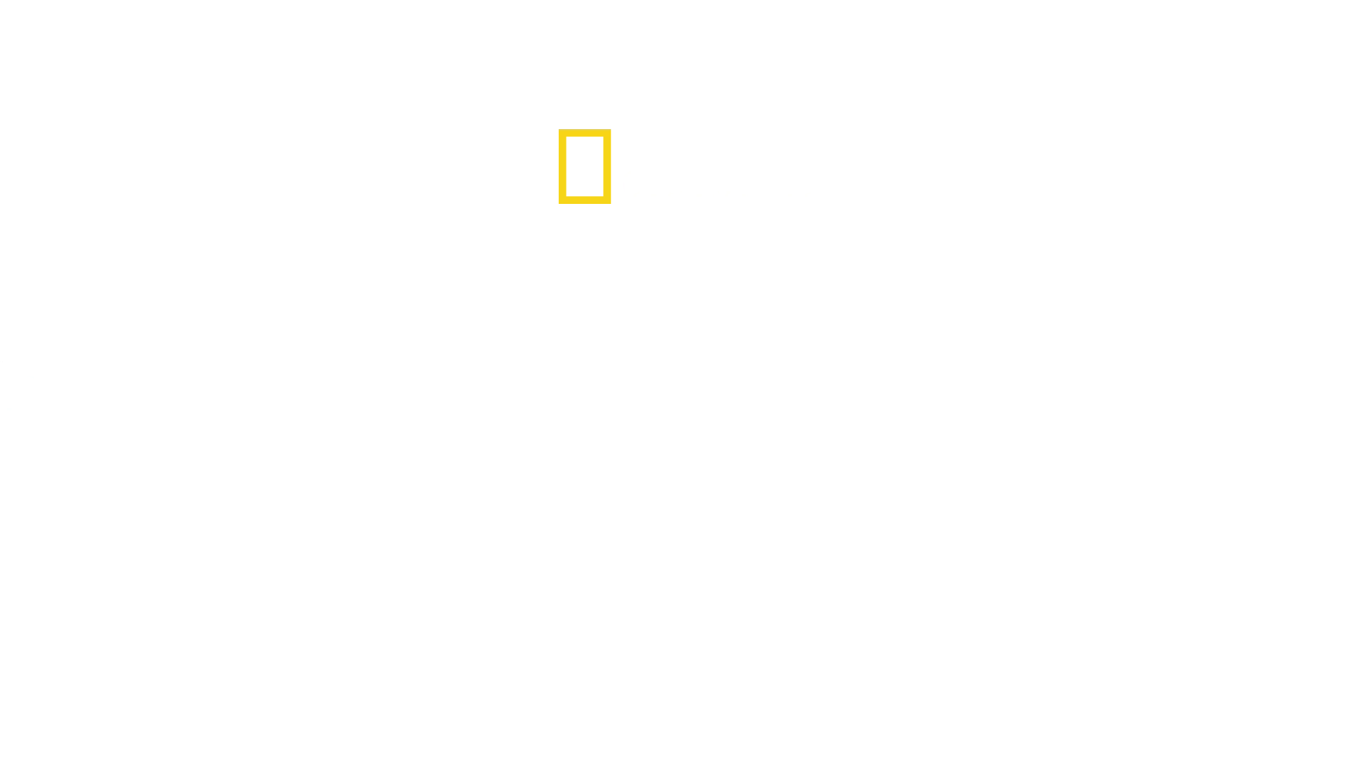 Shark Attack Investigation: The Paige Winter Story