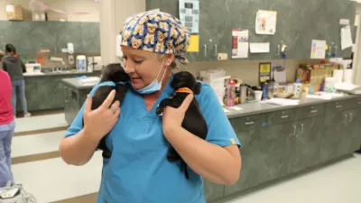 thumbnail - S1:E4 Hit and Run