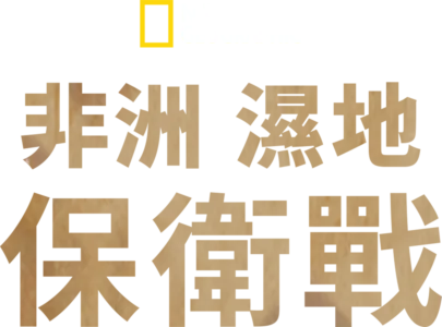 非洲濕地保衛戰
