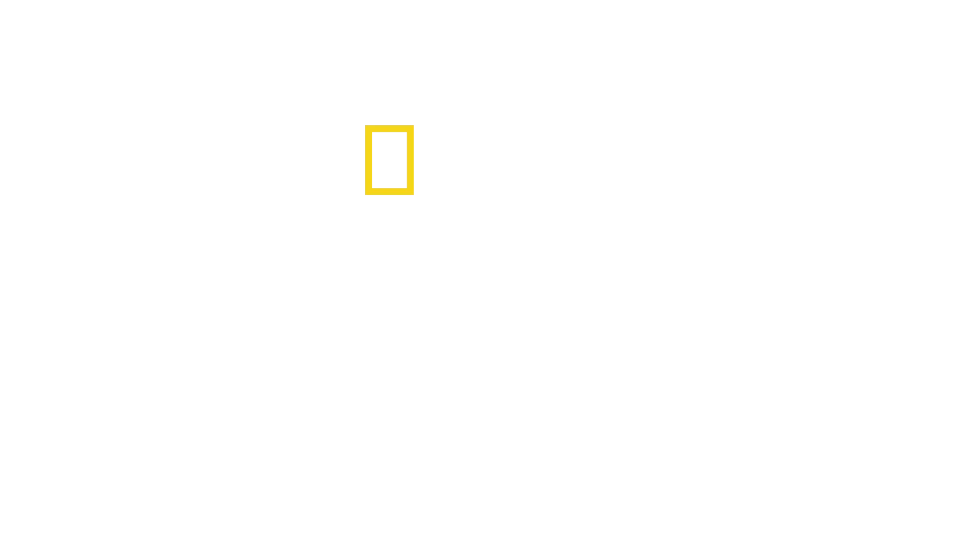 Rencontre avec les chimpanzés