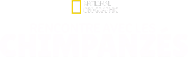 Rencontre avec les chimpanzés
