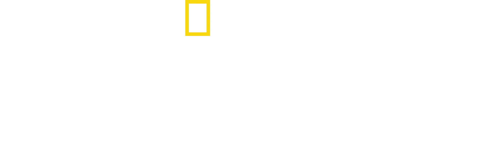Rencontre avec les chimpanzés