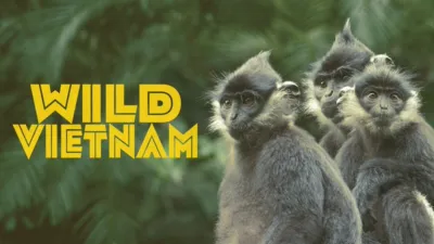 Wild Vietnam