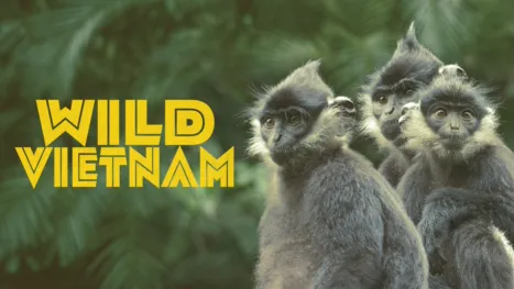 thumbnail - Wild Vietnam