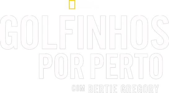Golfinhos de perto com Bertie Gregory